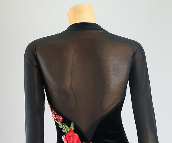 バラ刺繍エレガントベロアラテンドレス